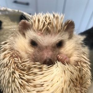 Meet your Posher, Taryn